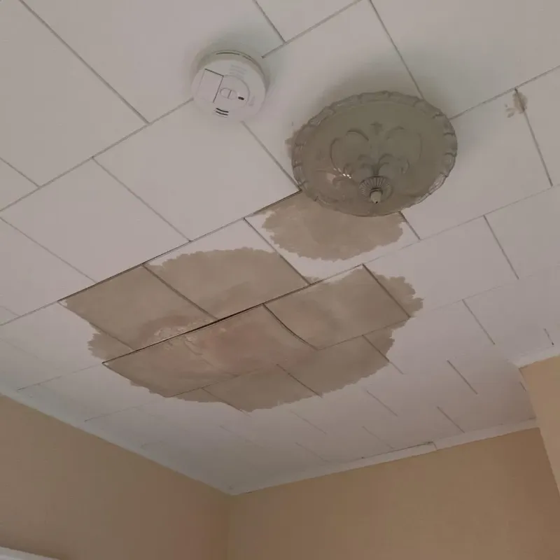 Ceiling Water Damage Repair in Hobart, WI