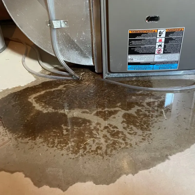Pipe Burst and Leak Restoration in Hobart, WI