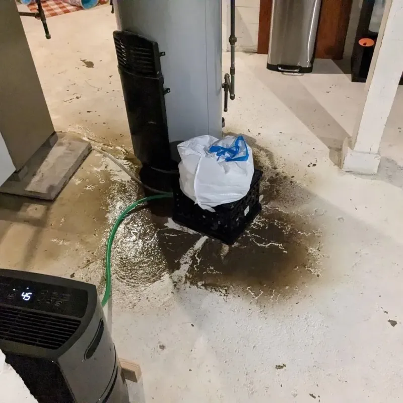 Sewage Backup Cleanup Service in Hobart, WI